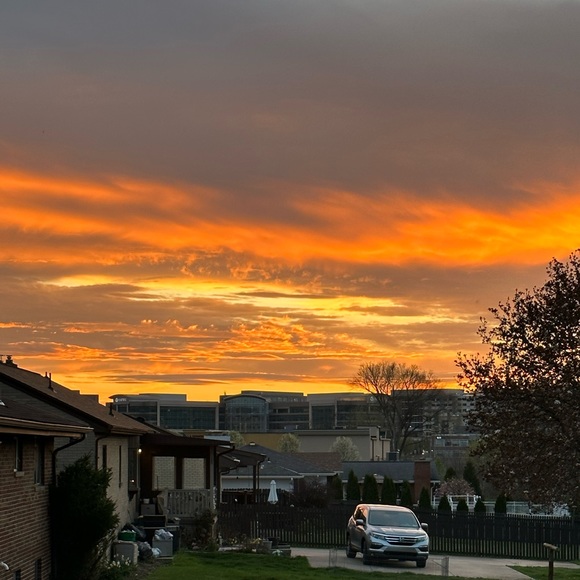 Meet your Posher, Kyleigh - Picture 1 of 1